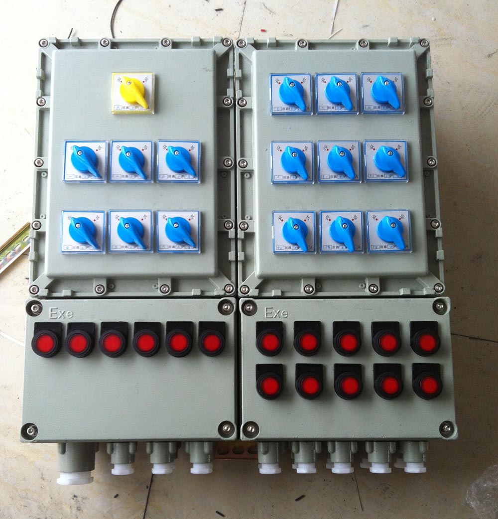 63A防爆照明（动力）配电箱 10回路配电箱
